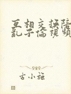 互相交换陪读妇乱子伦视频