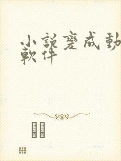 小说变成动漫的软件