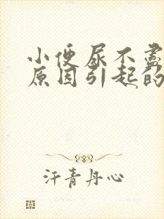 小便尿不尽什么原因引起的