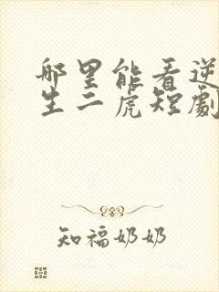 哪里能看逆袭人生二虎短剧全集