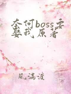 奈何boss要娶我原著