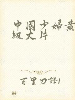 中国少妇黄色一级大片