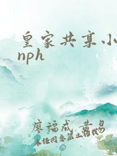 皇家共享小公主nph