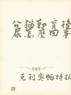 公猫节育后还乱尿怎么回事