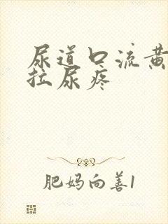 尿道口流黄浓且拉尿疼