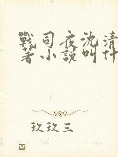 战司夜沈清歌原著小说叫什么