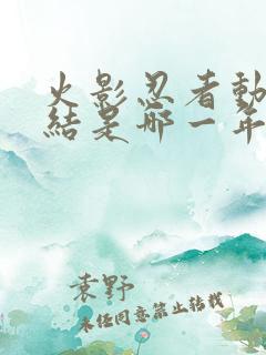 火影忍者动画完结是哪一年