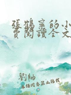 张鹤宁的小说免费阅读全文