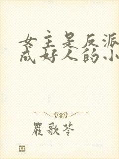 女主是反派却装成好人的小说