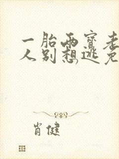 一胎两宝老婆大人别想逃免费阅读