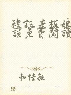 程钰老板娘的小说免费阅读无弹窗