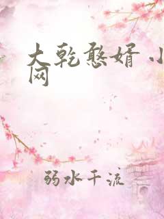 大乾憨婿 小说网