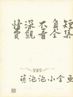 情深不负短剧免费观看全集高清