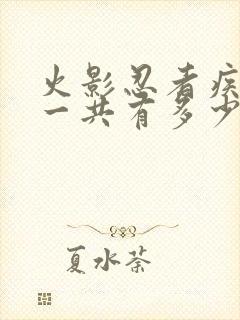 火影忍者疾风传一共有多少集