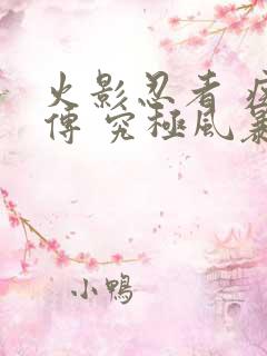 火影忍者 疾风传 究极风暴2下载