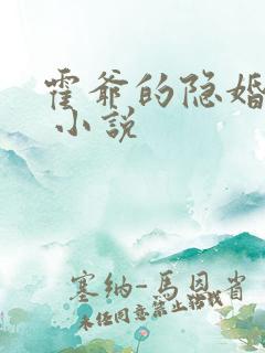 霍爷的隐婚罪妻 小说