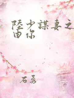 陆少谋妻之婚不由你