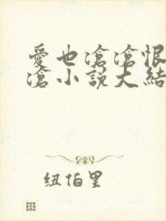 爱也沧沧恨也沧沧小说大结局