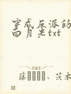 穿成反派的短命白月光txt