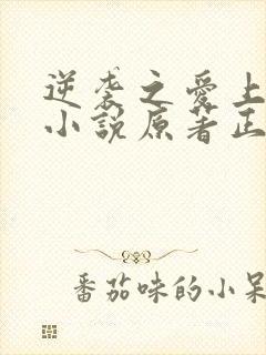 逆袭之爱上情敌小说原著正版