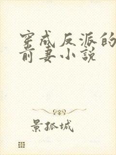 穿成反派的炮灰前妻小说