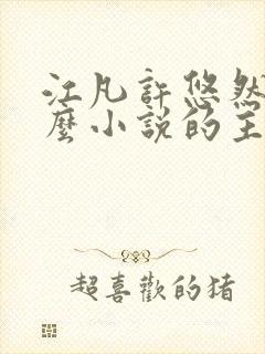 江凡许悠然是什么小说的主角