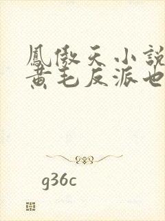 凤傲天小说里的黄毛反派也想要幸福txt