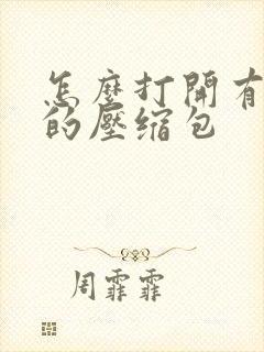 怎么打开有密码的压缩包