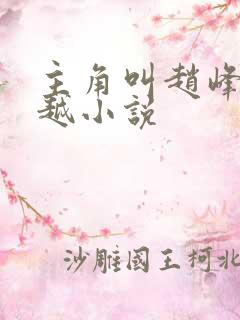 主角叫赵峰的穿越小说