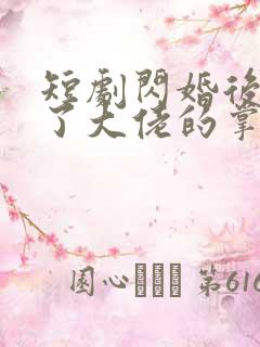 短剧闪婚后我成了大佬的掌中之物免费观看