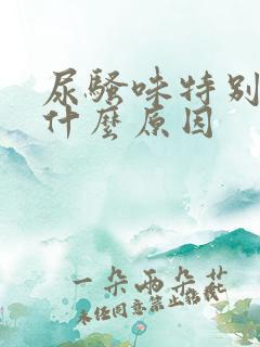 尿骚味特别大是什么原因