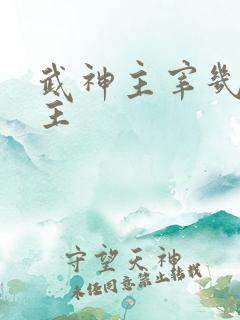 武神主宰几个女主