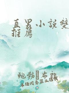 直男小说双男主推荐