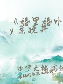 《婚里婚外》by 叶晓井