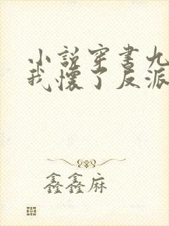 小说穿书九零,我怀了反派大佬的崽