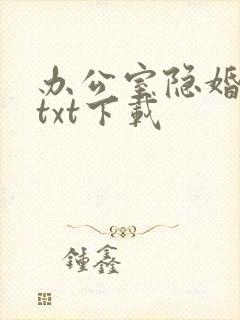 办公室隐婚轻黯txt下载