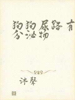 狗狗尿路有黄色分泌物