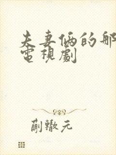 夫妻俩的那些事电视剧