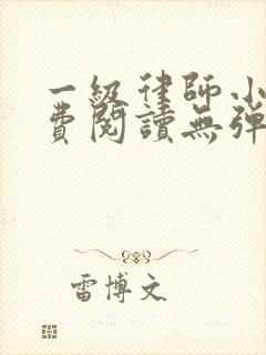 一级律师小说免费阅读无弹窗