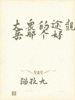 大众的途观和探岳哪个好