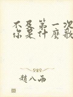 不及第一次遇见你是什么歌