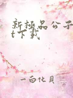 新极品公子txt下载