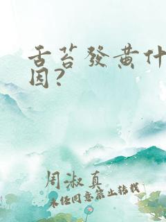 舌苔发黄什么原因?