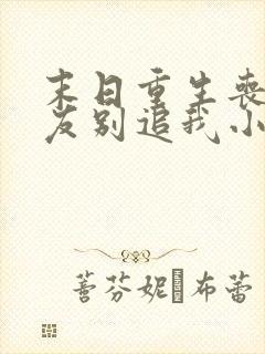 末日重生丧尸男友别追我小说阅读全文