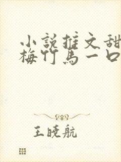 小说推文甜文青梅竹马一口气看完