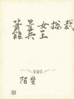 萧晨女总裁的全能兵王