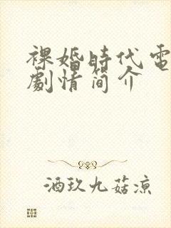 裸婚时代电视剧剧情简介