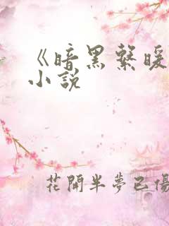 《暗黑系暖婚》小说