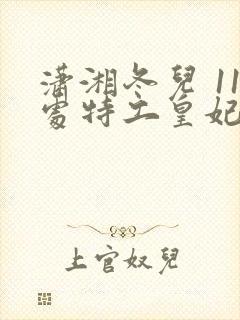 潇湘冬儿 11处特工皇妃