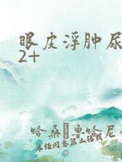 眼皮浮肿尿蛋白2+